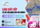 Có Thể Làm Logo Giày Dép Với Nhiều Màu Sắc Không